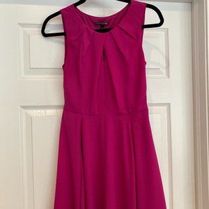 Express Pink Dress